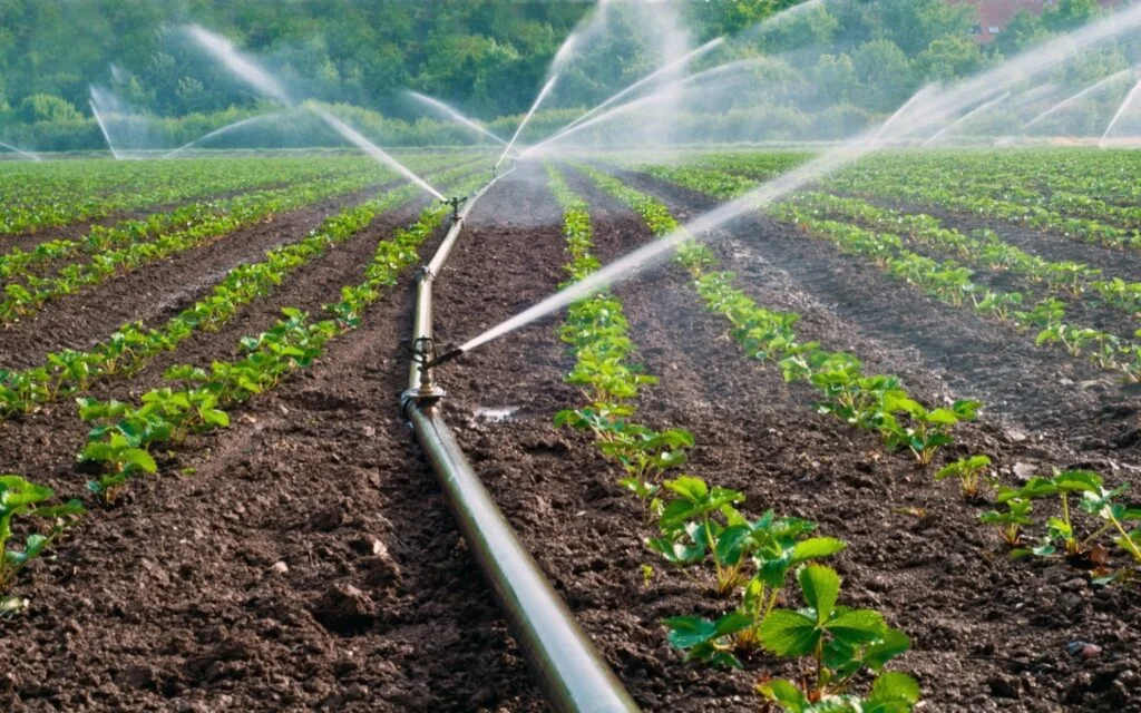 الرئيسية drip irrigation network supplies 1024x640.jpg