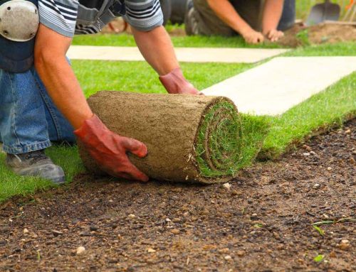 prato a rotoli preparazione terreno 1 500x383