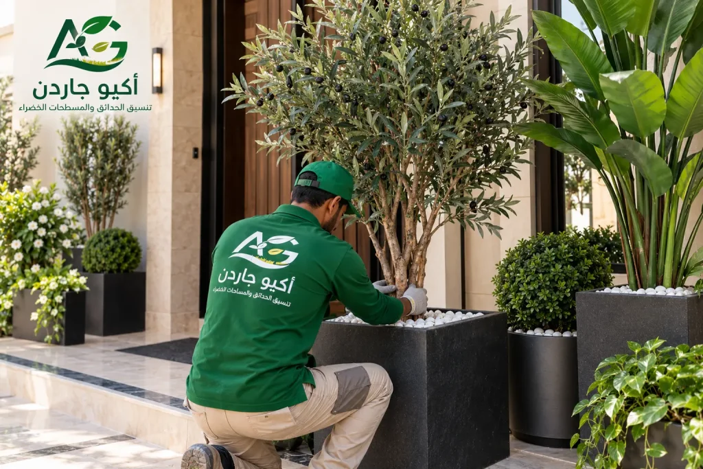 تركيب نباتات صناعية بالرياض